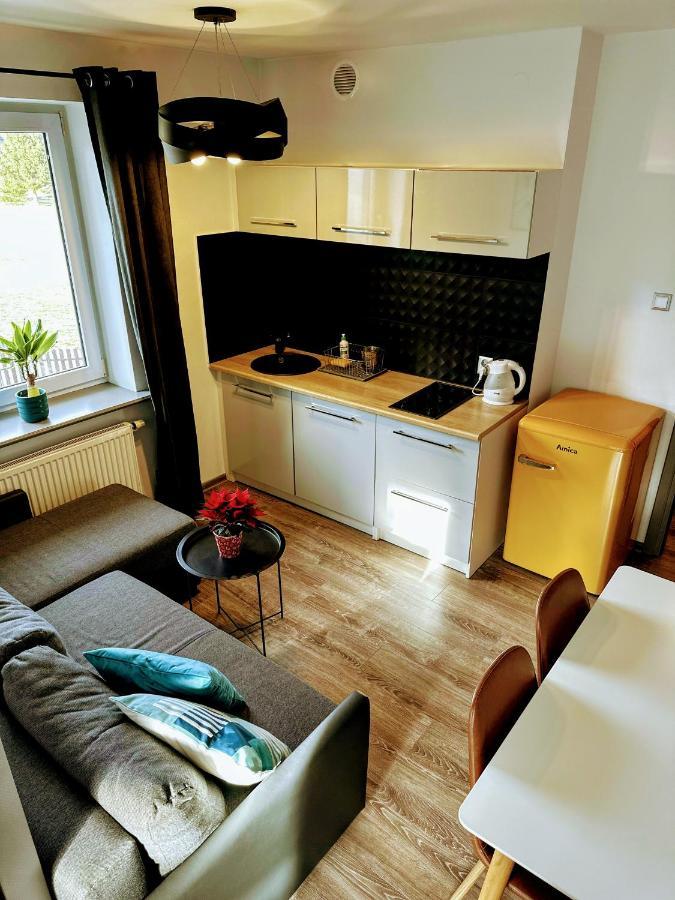 Swarny Zakatek Apartment Zakopane
